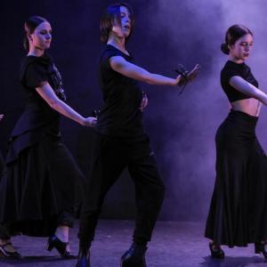 Fotografía de Talleres Baile Flamenco (galería 2) - Conservatorio de Danza